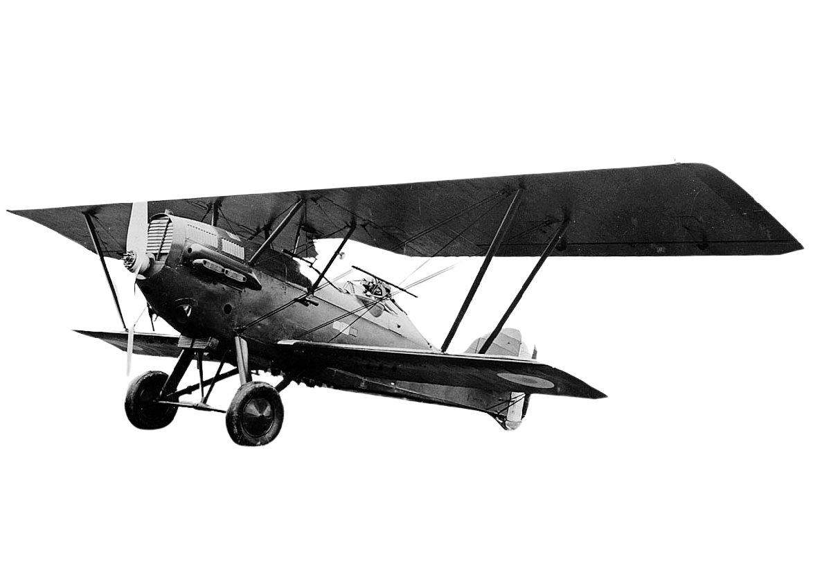 POTEZ 25